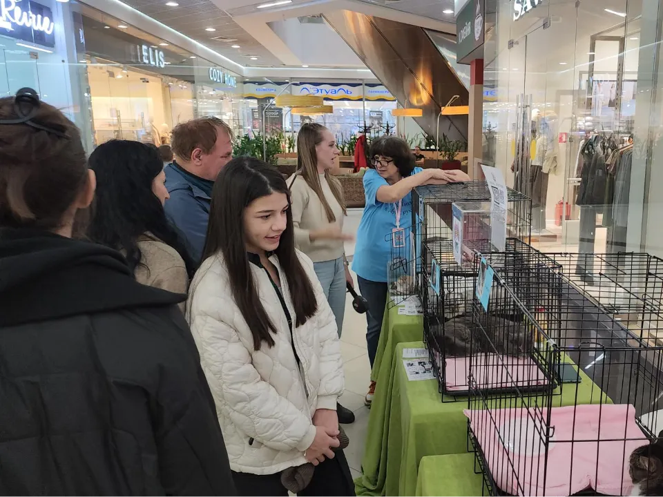 Фото: МедиаБанк Подмосковья/Наталья Лымарь