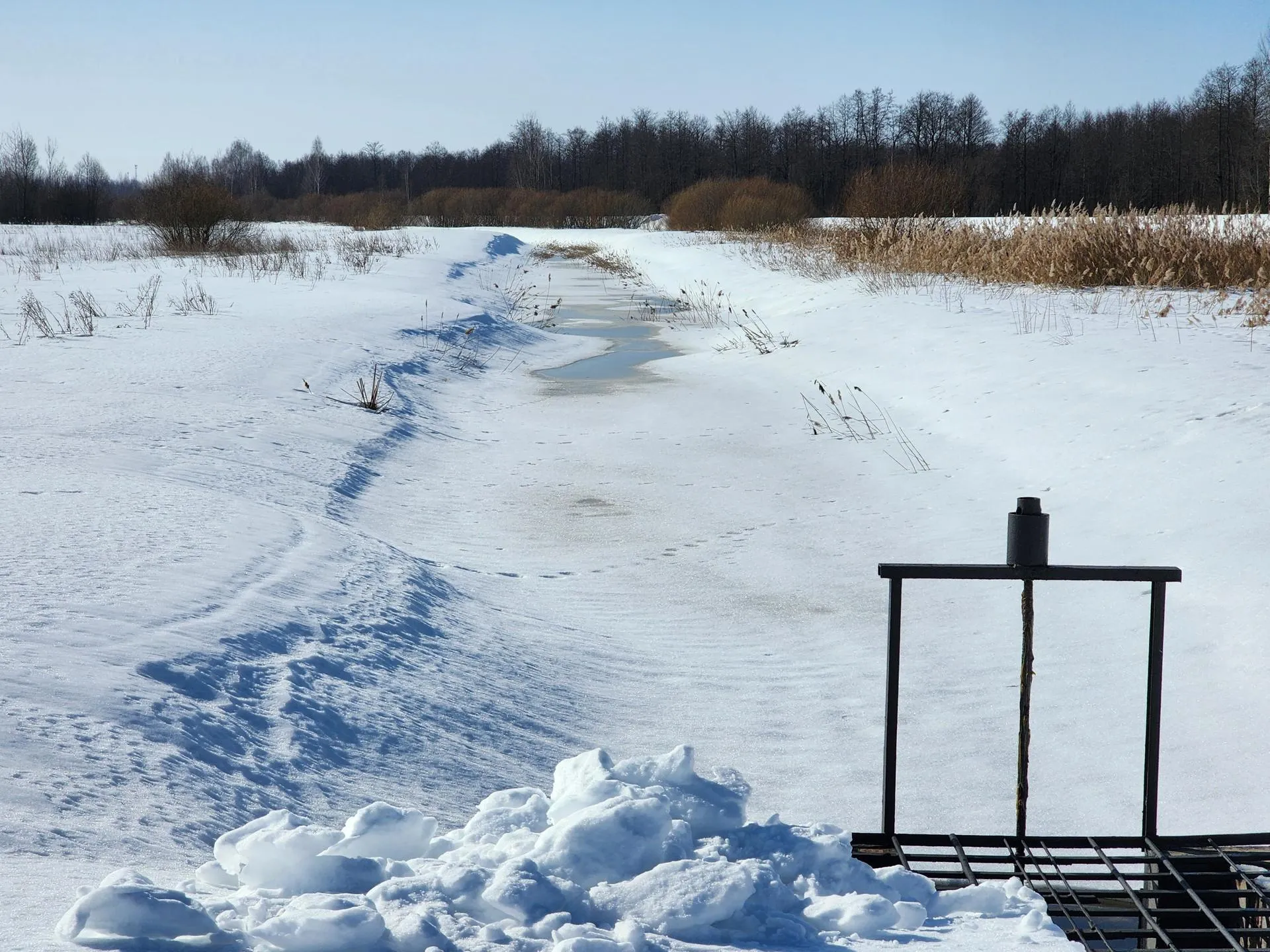 REGIONS/Елена Шумакова