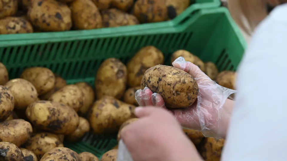 Фото: РИА Новости/Максим Блинов