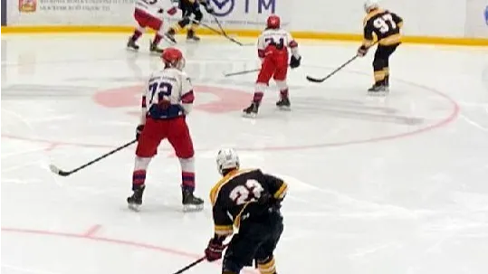 Источник фото: управление по физической культуре и спорту администрации г.о. Электросталь