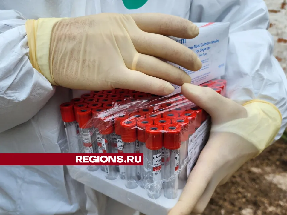 Фото: Екатерина Данилина