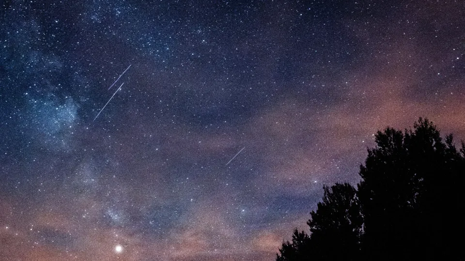 Фото: unsplash.com