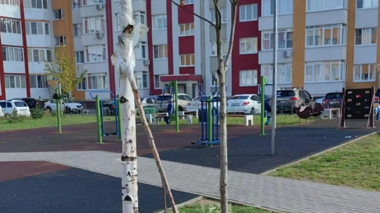 Фото: соцсети