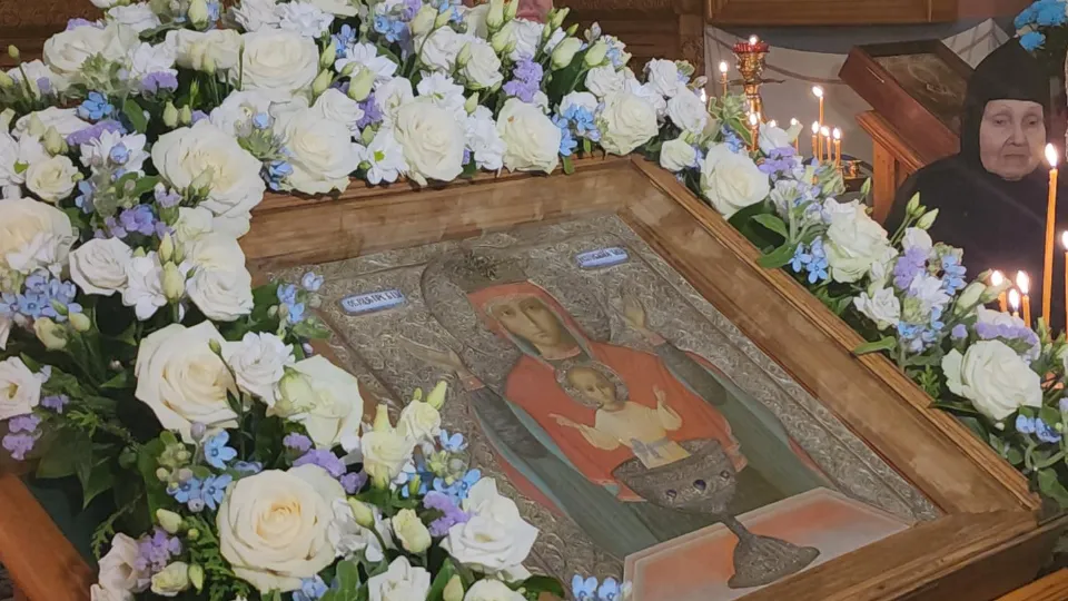 Фото: МедиаБанк Подмосковья/Наталья Лымарь