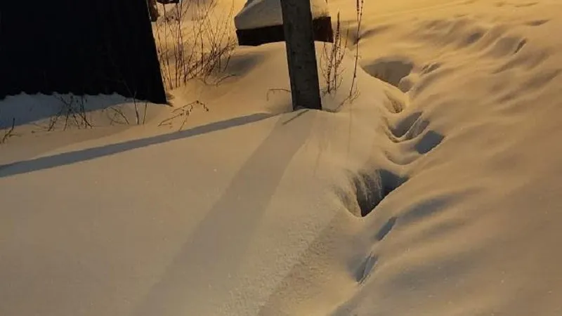 Минэкологии МО