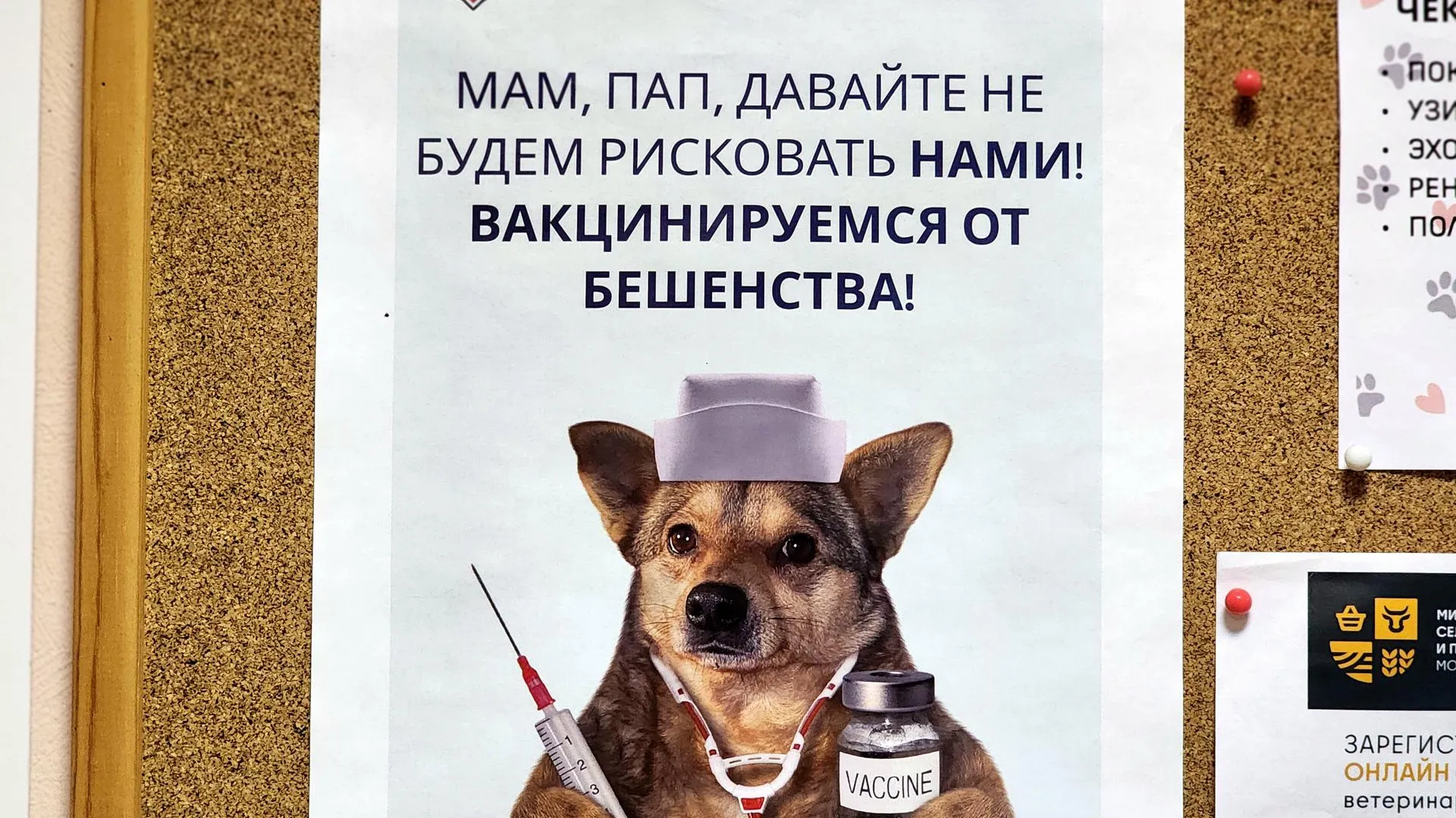 Мария Овчинникова