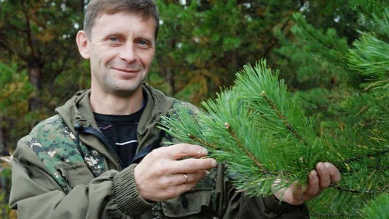 Этой весной в Подмосковье восстановили 500 гектаров леса