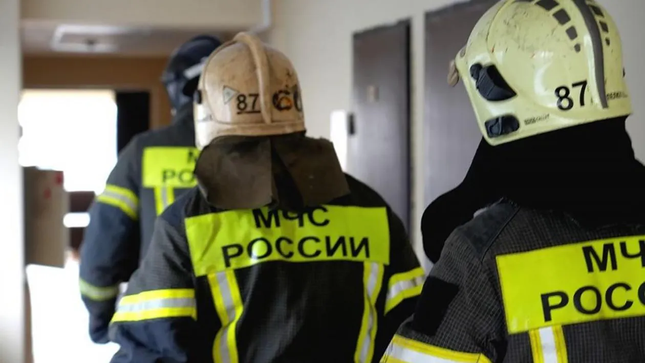 МедиаБанк Подмосковья/Дмитрий Зайчиков