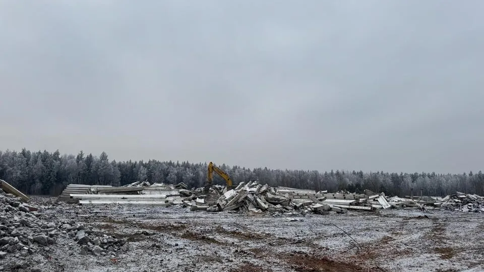 Фото: администрация Орехово-Зуевского г.о.