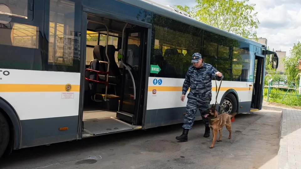 Фото: пресс-служба г.о. Лыткарино