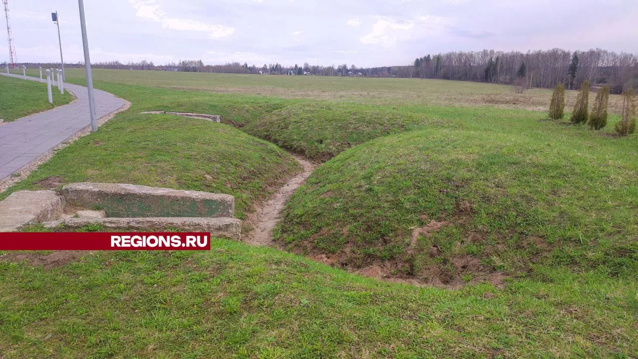 Фото: Владислав Мурашов