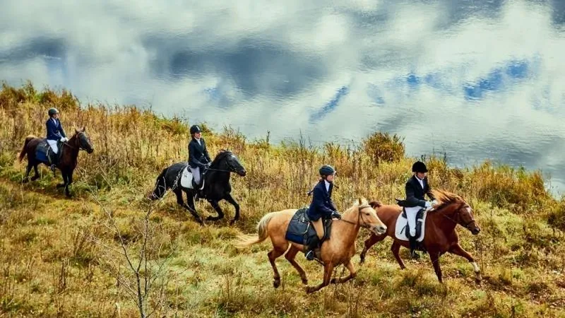 Подземелья, ранчо, ламы. Программа-минимум для всех, кто собирается посетить Можайск