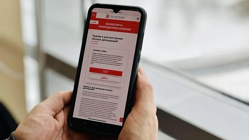 Фото:  Пресс-служба Комитета лесного хозяйства Московской области