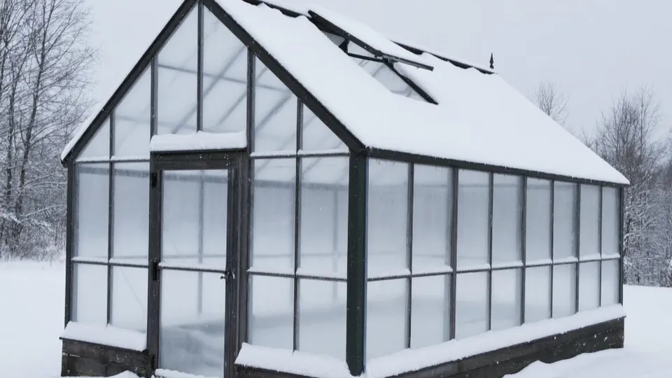 Фото: REGIONS/Сгенерировано нейросетью