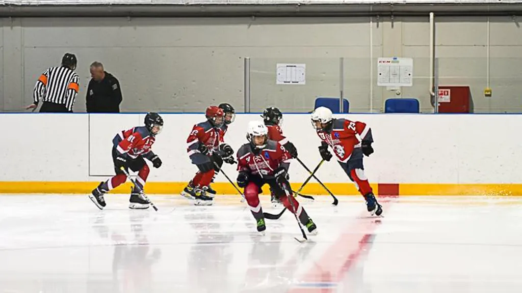 Фото: Зарайский ледовый спортивный комплекс