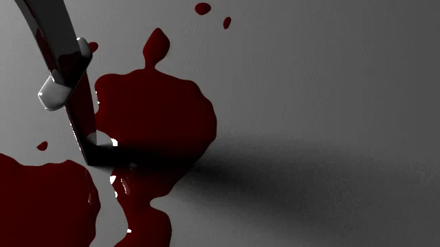 Убийце, нанесшему жертвам во Фрязино более 100 ударов ножом, дали пожизненное