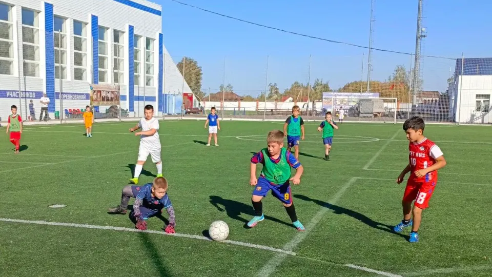 Фото: Отдел по физической культуре и спорту администрации м.о. Серебряные Пруды