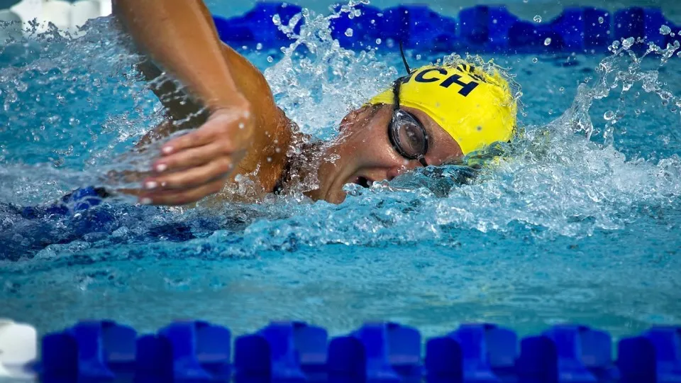 Фото: pxhere.com