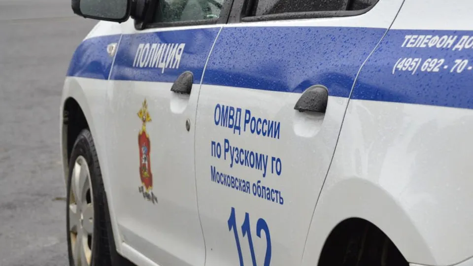 Фото: пресс-служба ОМВД России по Рузскому городскому округу