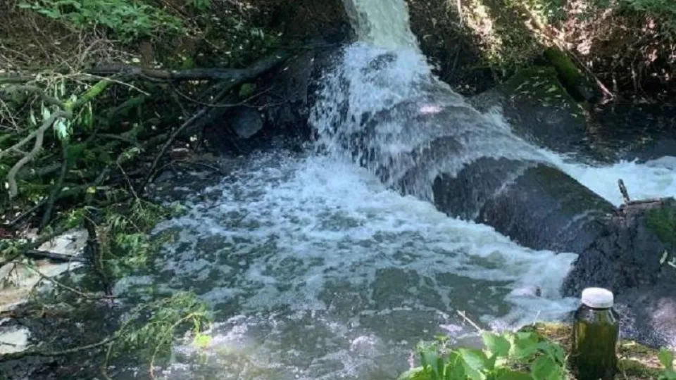 Фото: Министерство экологии и природопользования Московской области