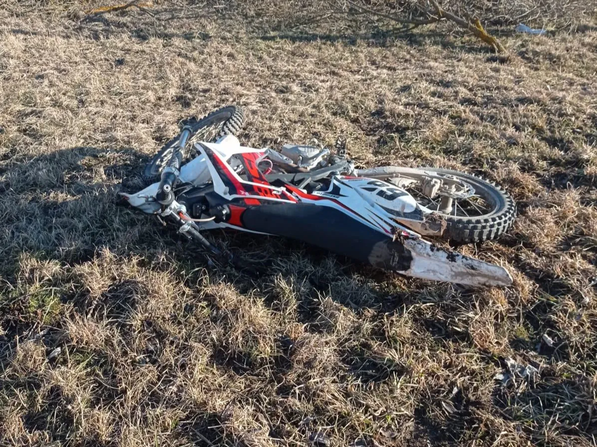 Фото: ГКУ МО&nbsp;«Мособлпожспас»