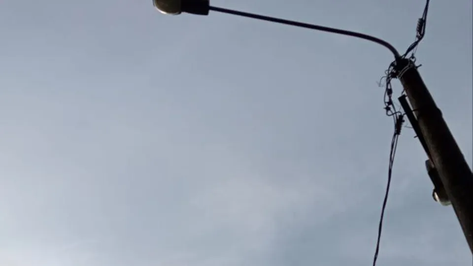 Фото: пресс-служба администрации г.о. Пушкинский