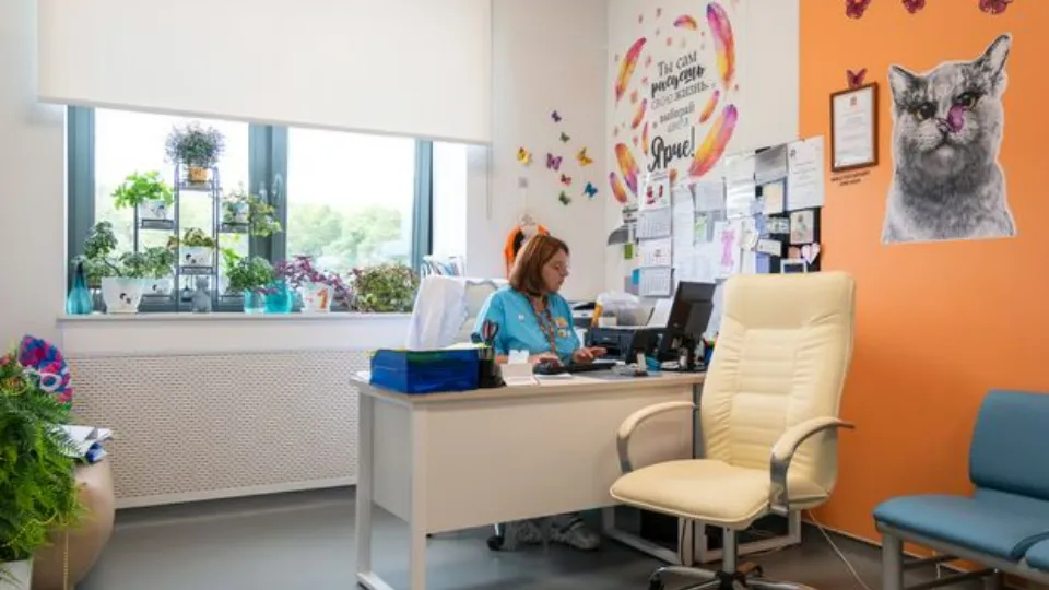 Фото: медиасток.рф