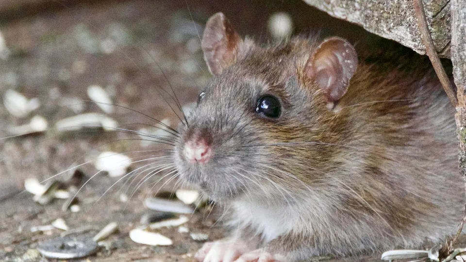 Фото: unsplash.com