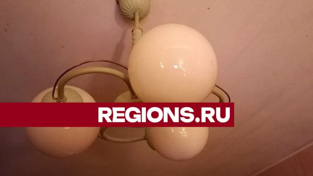 Фото: Олег Книжник