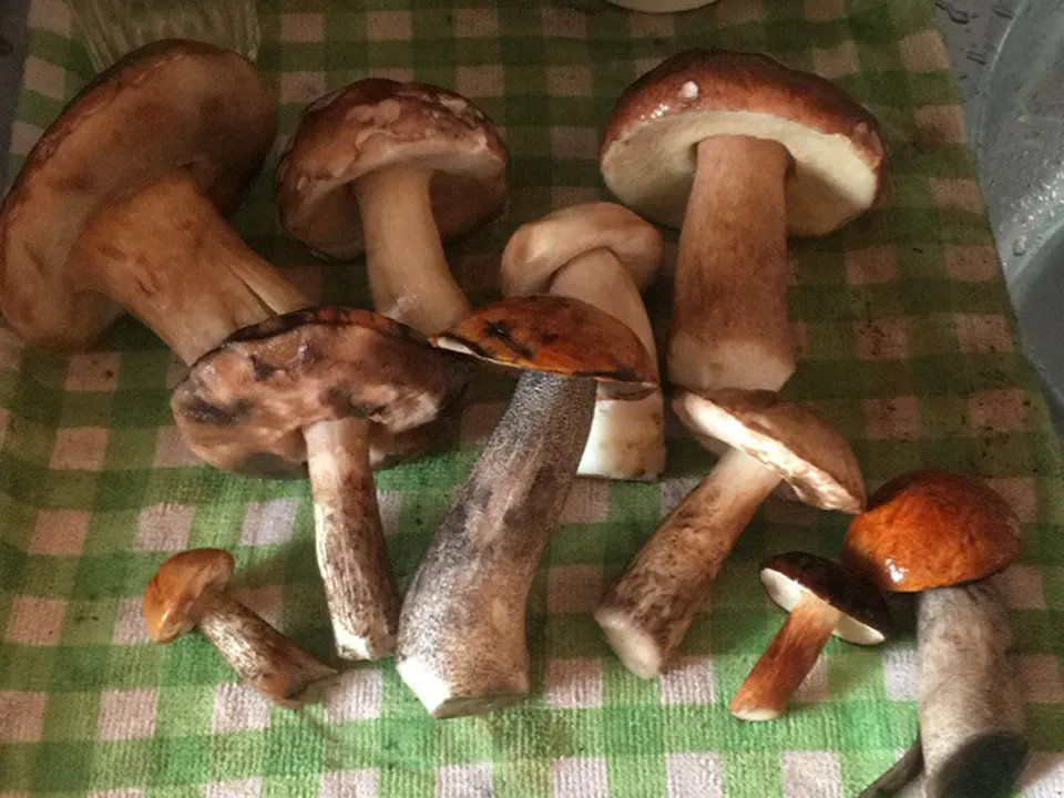 Фото: личный архив Кристины Шумбар