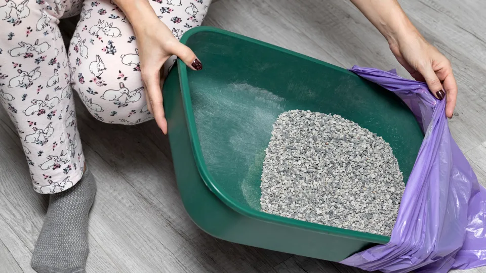 Фото: istockphoto.com/Oleg Opryshko