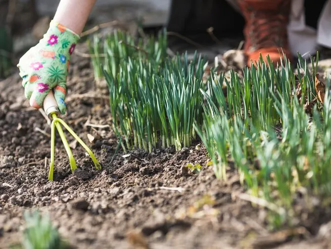 Фото: freepik.com