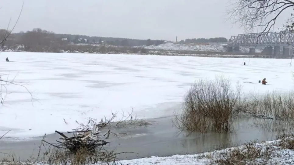 Фото: пресс-служба администрации г.о. Кашира