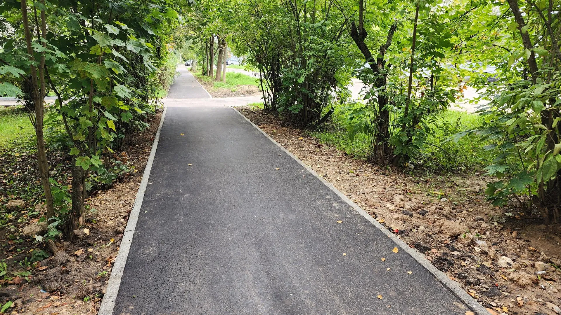 Владимир Киселёв