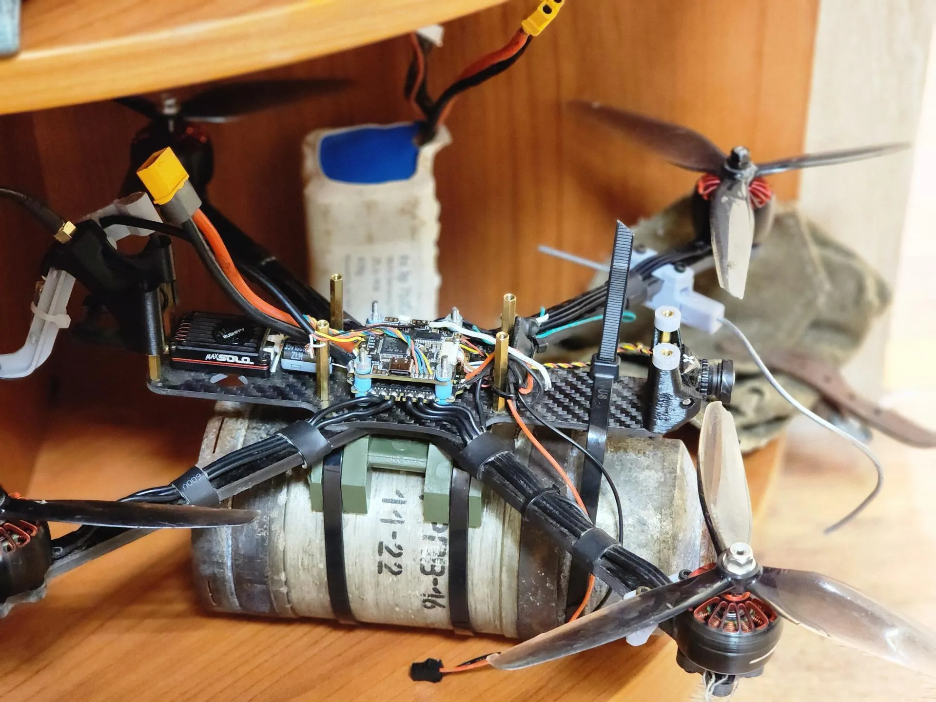 REGIONS/Полина Пахомова