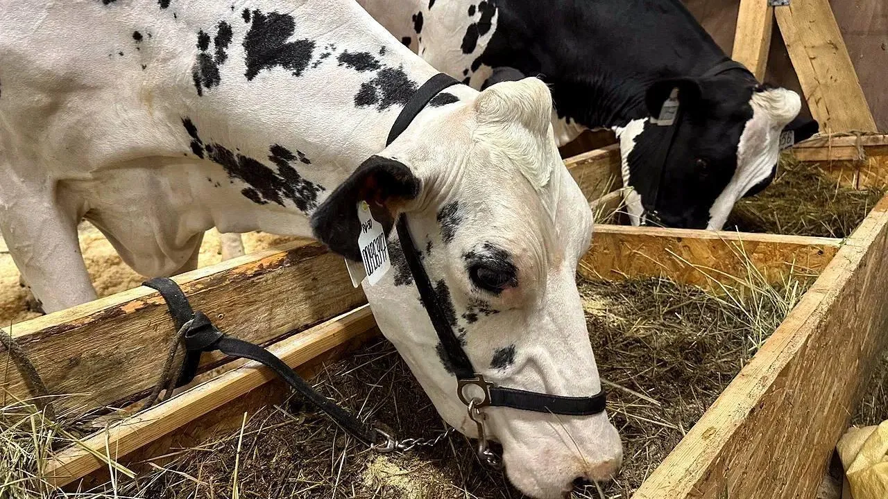 Пресс-служба Минсельхозпрод МО