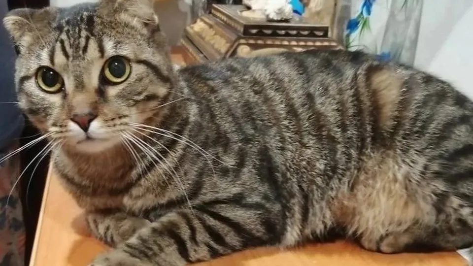 Фото: Светлана Попова