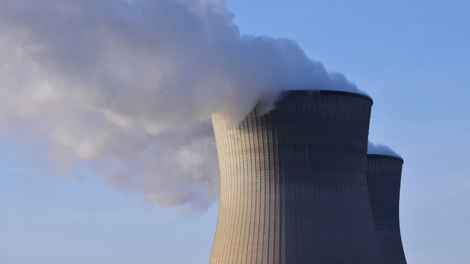 Фото: pxhere.com