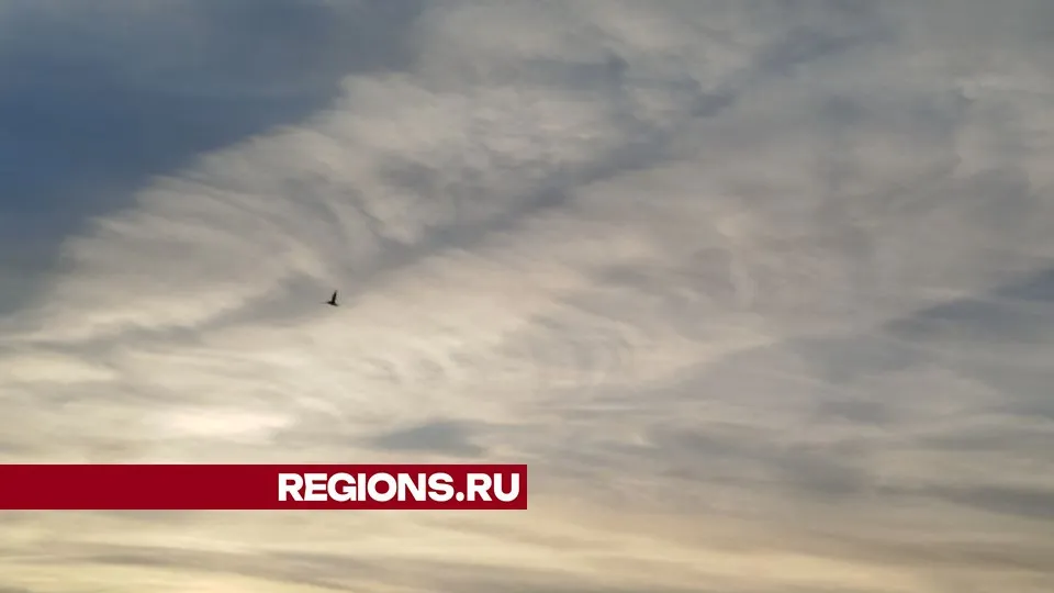 Фото: REGIONS/Юлия Куделькина