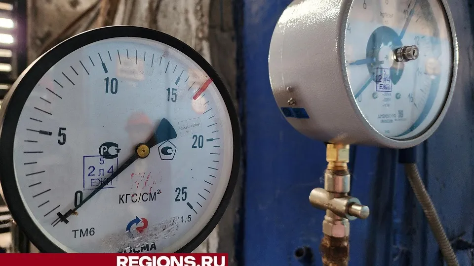 Фото: Светлана Плотникова