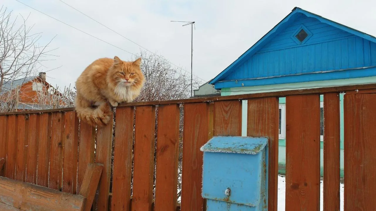 Андрей Башинский