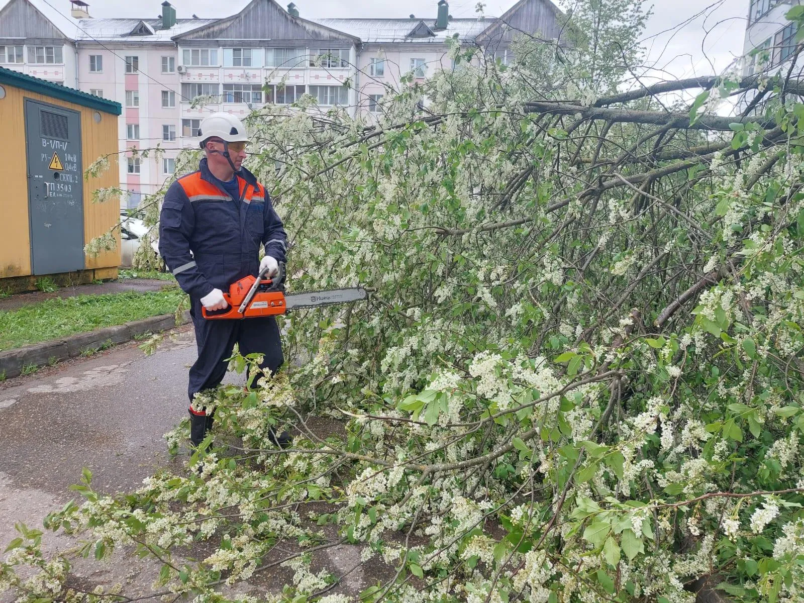 Фото: ГКУ МО&nbsp;«Мособлпожспас»