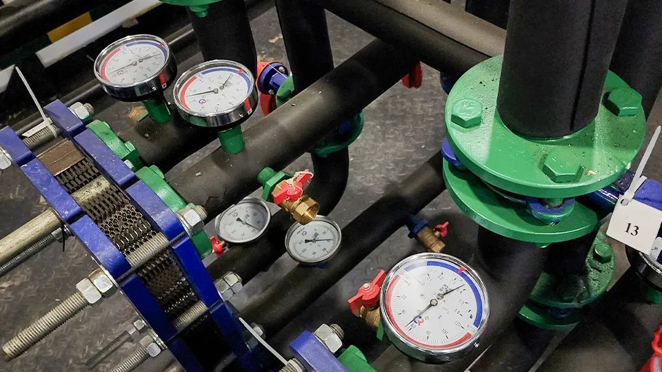 Фото: МедиаБанк Подмосковья/Данилина Екатерина