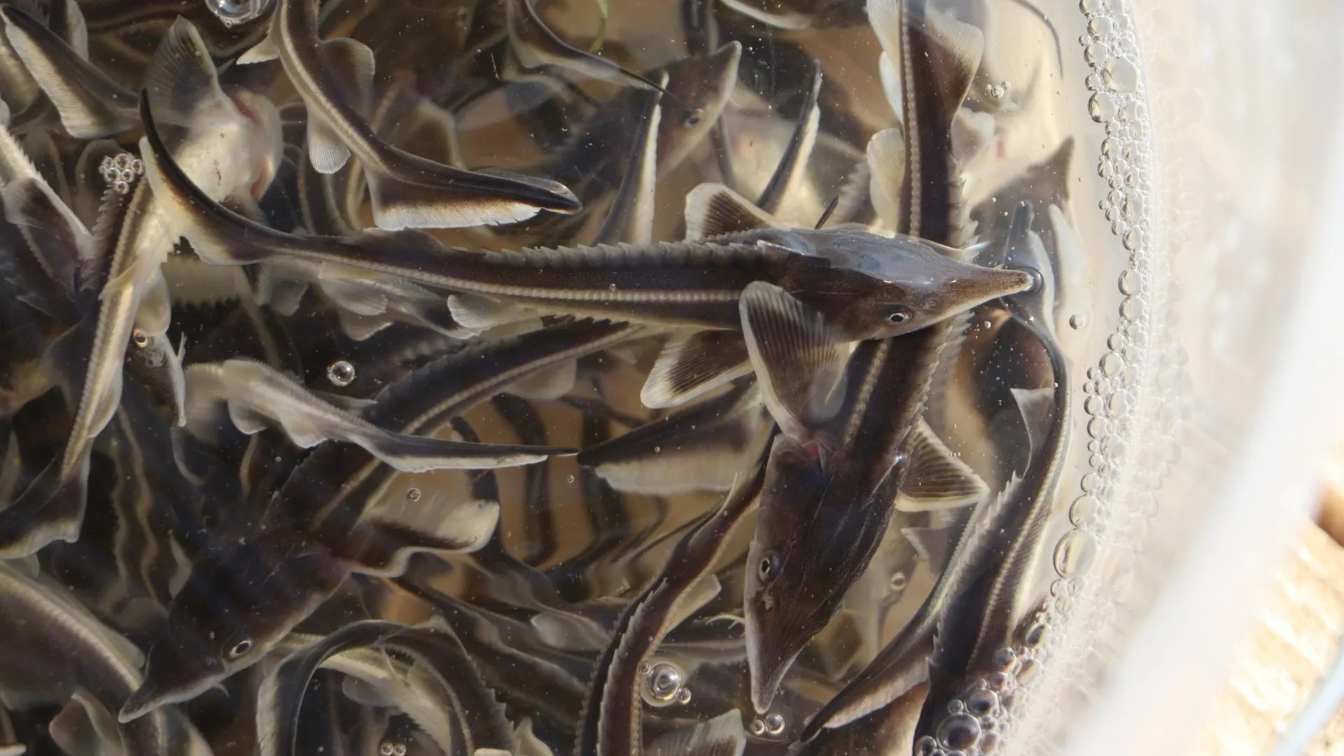 Фото: пресс-служба администрации г.о. Зарайск.