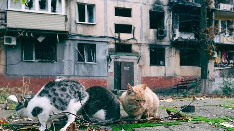 Гера Восьмая