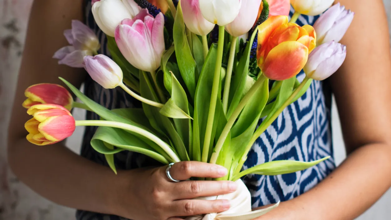 Фото: pxhere.com