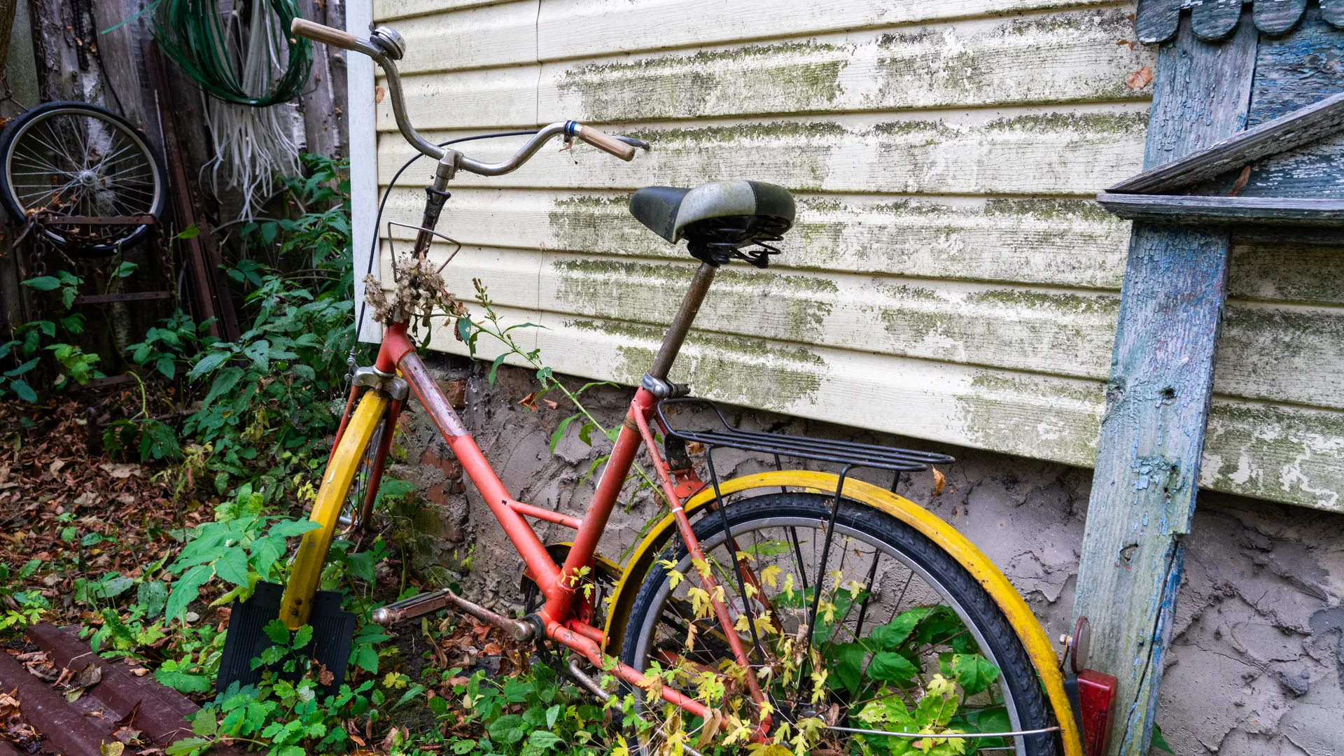 Дача в Подмосковье осенью. Дачная амнистия