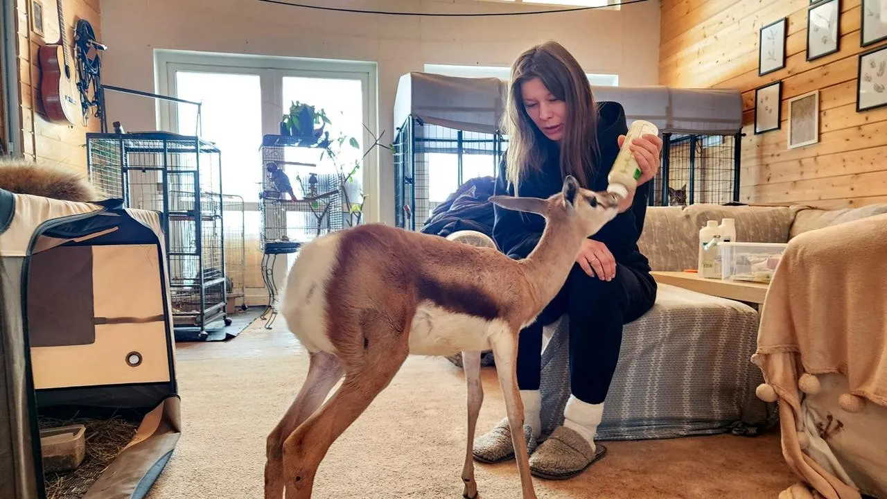 REGIONS/Мария Панина