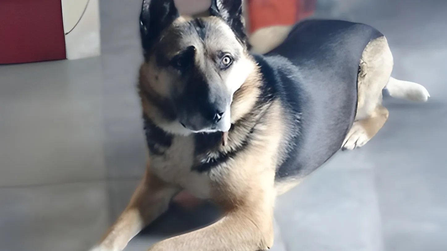 Фото: Министерство транспорта и дорожной инфраструктуры МО