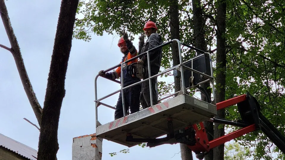 Фото: МедиаБанк Подмосковья/Екатерина Данилина